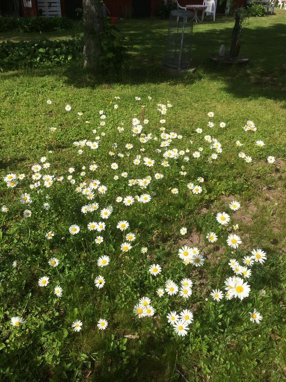 Swedish Idyll Hotel Årstad Buitenkant foto